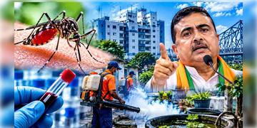Read more about - Dengue Control Work | পুজোর মাঝেও অব্যাহত ডেঙ্গি নিয়ন্ত্রণের কাজ! নির্দেশিকা জারি স্বাস্থ্য দপ্তরের