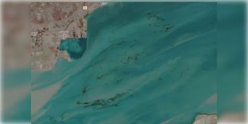 Read more about - Iran War | সমুদ্রে মিশছে বিপুল পরিমাণ তেল, আমেরিকা-ইরান সংঘাতের জেরে বিপর্যয়ের মুখে সামুদ্রিক প্রাণীকুল!