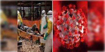 Read more about - Ebola | ইবোলা ভাইরাস নিয়ে বিশ্বজুড়ে সতর্কবার্তা WHO-র, কড়া নজরদারি ও প্রস্তুতিমূলক ব্যবস্থা ভারতের!