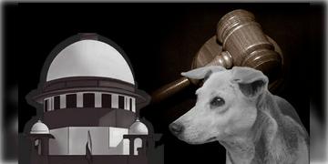 Read more about - Stray Dogs | জলাতঙ্কে সংক্রমিত ও মানুষের জন্য বিপজ্জনক কুকুরদের প্রয়োজনে মেরে ফেলার অনুমতি সুপ্রিম কোর্টের!