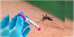 Read more about - Dengue Alert | এক মাসে আক্ৰান্ত বেড়ে ৩,২০০! রাজ্যে দুশ্চিন্তা বাড়াচ্ছে ডেঙ্গু