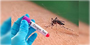 Read more about - Dengue Alert | এক মাসে আক্ৰান্ত বেড়ে ৩,২০০! রাজ্যে দুশ্চিন্তা বাড়াচ্ছে ডেঙ্গু