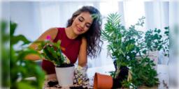 Read more about - Living Room Indoor Plants | ইনডোর প্ল্যান্ট দিয়ে ঘর সাজাবেন? বাস্তু মতে এই গাছগুলি পরিবেশ সুন্দর করার সঙ্গে আনবে সুখ-সমৃদ্ধি!