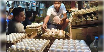 Read more about - Egg Price in India | যুদ্ধপরিস্থিতির জেরে হু হু করে কমছে ডিমের দাম, মাথায় হাত ব্যবসায়ীদের