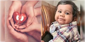 Read more about - Kerala | ৬ মাস বয়সে অঙ্গদান! কেরলের শিশুর জন্যে বাঁচলো ৫ প্রাণ, রাষ্ট্রীয় সম্মানের ঘোষণা সরকারের