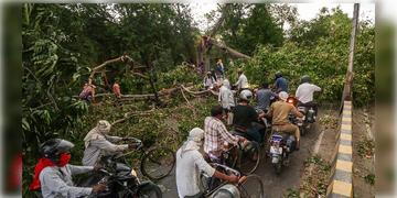Read more about - Uttar Pradesh Rain | ঝড়ের দাপটে লণ্ডভণ্ড উত্তর প্রদেশ, ভেঙে পড়েছে ঘরবাড়ি-গাছ, মৃত অন্তত ৬০