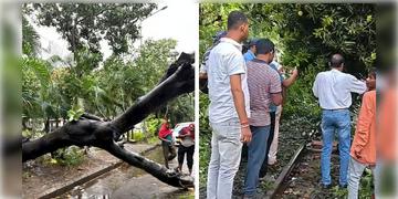 Read more about - Kolkata Rain | আচমকা ঝড়-বৃষ্টিতে থমকালো মেট্রো-ট্রেন চলাচল, গাছের ডাল ভেঙে পড়ে শহরে মৃত ১
