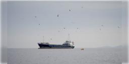 Read more about - Iran-US | ‘মধ্যপ্রাচ্যের একটিও বন্দর নিরাপদ থাকবে না’! আমেরিকাকে ‘জলদস্যু’ বলে তোপ দেগে হুশিয়ারি ইরানের!