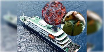 Read more about - Hantavirus | প্রমোদতরীতে হান্টাভাইরাসের প্রাদুর্ভাব, মৃত্যু ৩ জনের! কীভাবে ছড়ায় এই ভাইরাস? কতটা বিপদজনক? চিকিৎসা-ই বা কী?