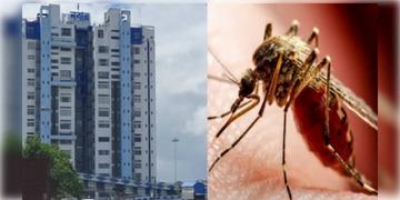 Read more about - Dengue Alert | অক্টোবর-নভেম্বরে 'হাই-রিস্ক', ডেঙ্গি নিয়ে একাধিক পদক্ষেপ নবান্নের!