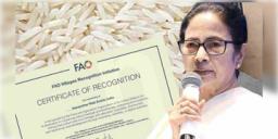 Read more about - Mamata Banerjee | গোবিন্দভোগ-তুলাইপাঞ্জি-কনকচূড় চালকে 'হেরিটেজ' স্বীকৃতি রাষ্ট্রপুঞ্জের, শংসাপত্র ‘মাটির সৃষ্টি' প্রকল্পকেও!
