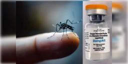 Read more about - Dengue Vaccine | আগামী বছরই বাজারে আসছে ডেঙ্গুর ভারতীয় টিকা 'ডেঙ্গিঅল', স্বস্তির খবর দিল ICMR!