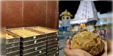 Read more about - Tirupati Controversy | তিরুপতির লাড্ডুতে পাম অয়েলের ব্যবহার! প্রোমোটারকে গ্রেপ্তার ইডির