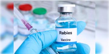 Read more about - Rabies Injection | বৃদ্ধি হলো রেবিসের সংক্রমণ রুখতে ব্যবহৃত অত্যাবশ্যক ইনজেকশনের দাম!