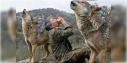 Read more about - Spain Wolf Boy | নেকড়ে পরিবারের সদস্য হিসেবে কাটিয়েছিলেন ১২ বছর! প্রয়াত স্পেনের ‘মোগলি’ মার্কোস!