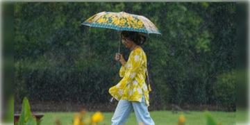 Read more about - Weather Update | দূরত্ব বাড়িয়েছে নিম্নচাপ, বঙ্গে কমছে বৃষ্টি, একনজরে কলকাতার আজকের আবহাওয়া আপডেট
